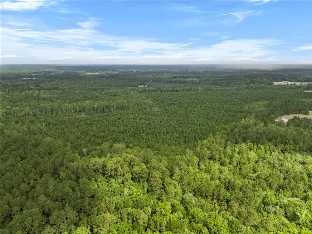 Rahn Station Road Rincon, GA 31326