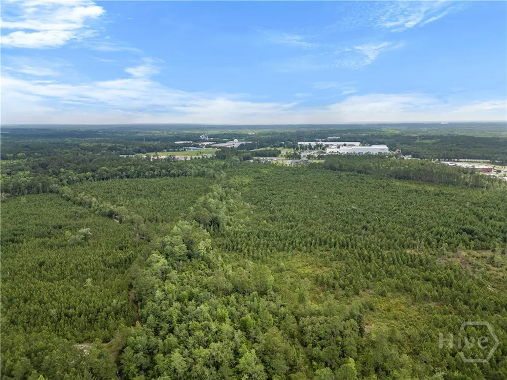 Rahn Station Road Rincon, GA 31326