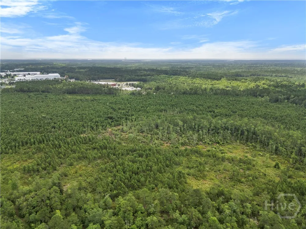 Rahn Station Road Rincon, GA 31326