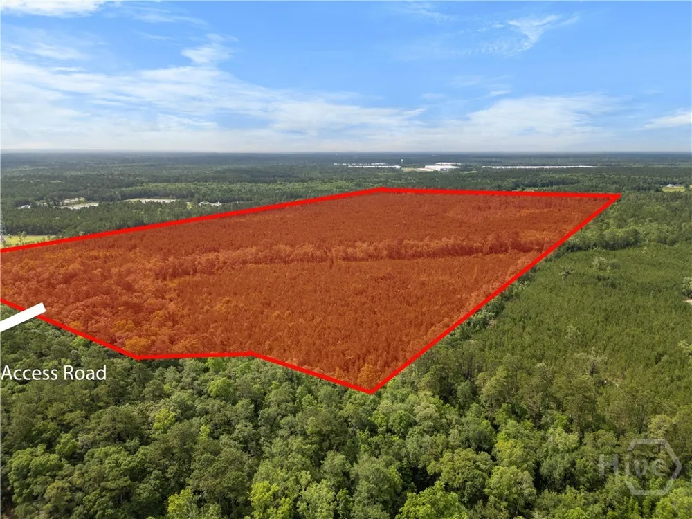 Rahn Station Road Rincon, GA 31326