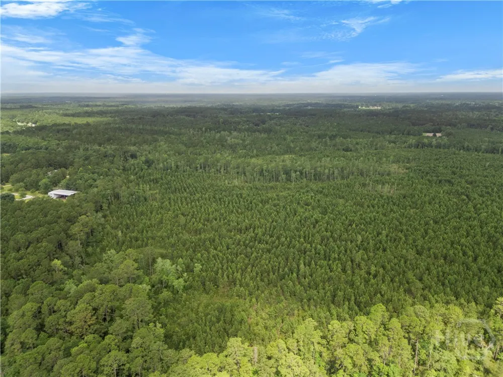 Rahn Station Road Rincon, GA 31326