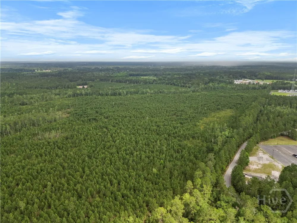 Rahn Station Road Rincon, GA 31326