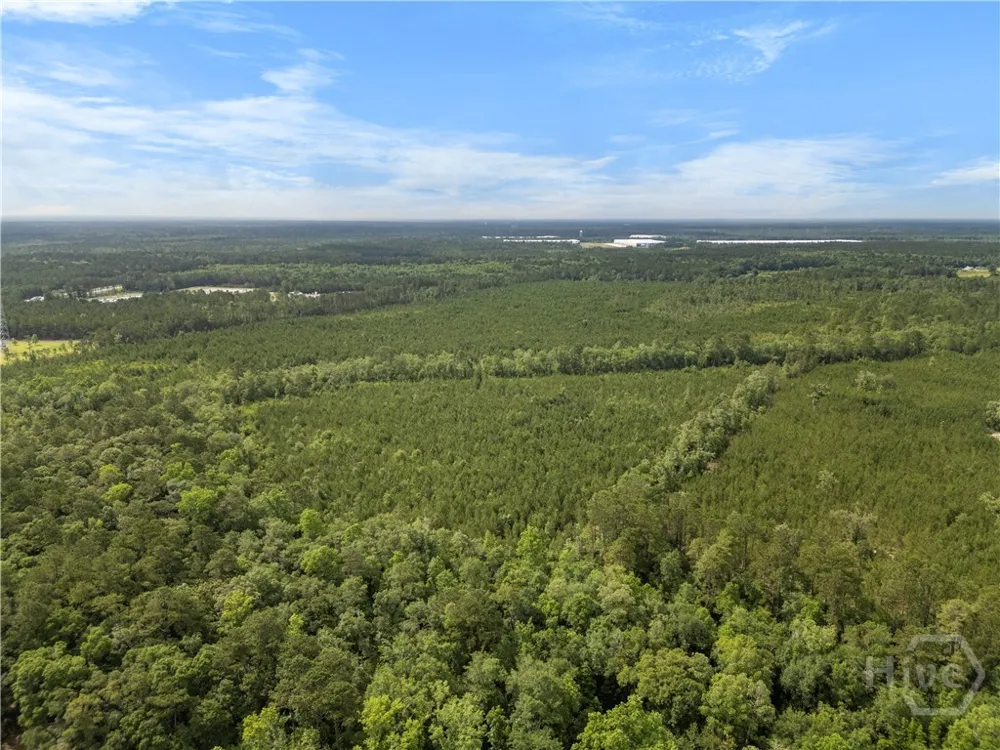 Rahn Station Road Rincon, GA 31326