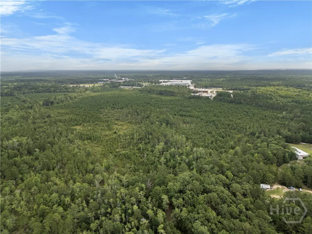 Rahn Station Road Rincon, GA 31326