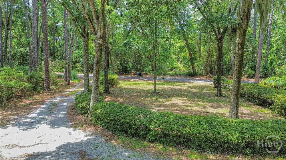 163 North Drive Savannah, GA 31406