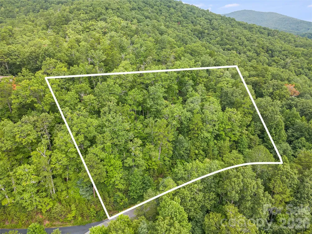 45 lobdell Road #45 Pisgah Forest, NC 28768