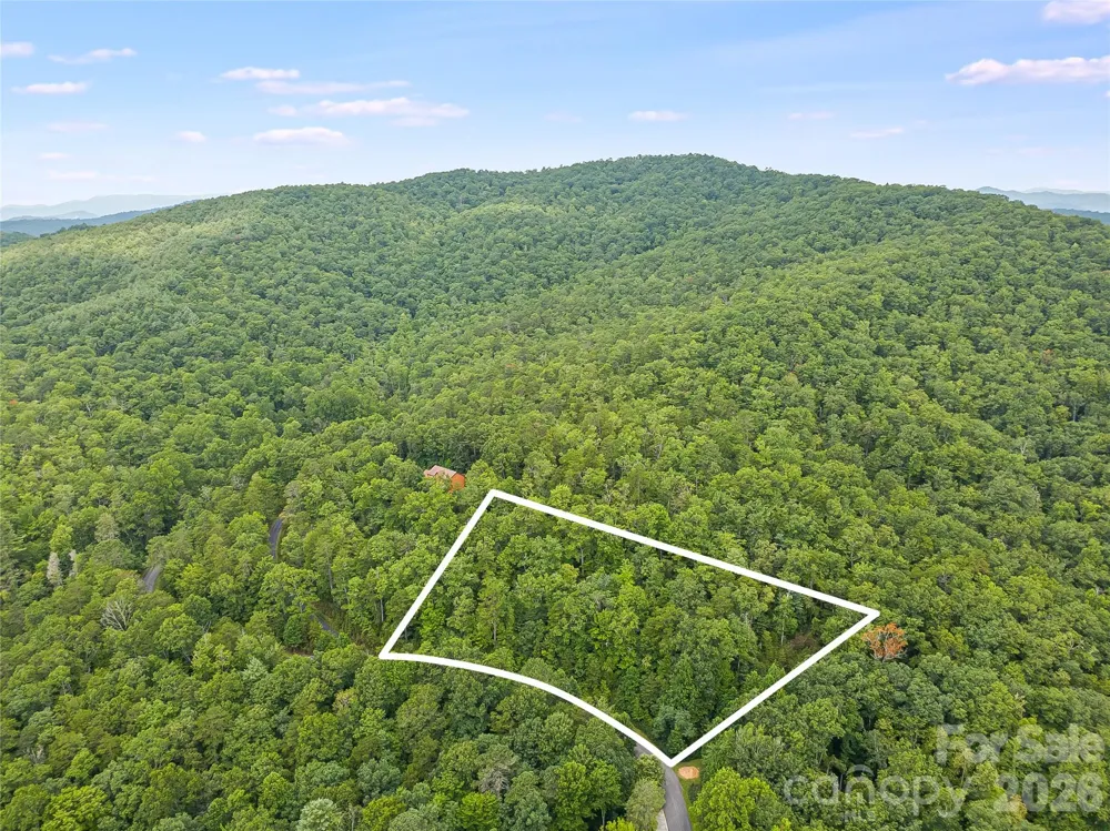 45 lobdell Road #45 Pisgah Forest, NC 28768