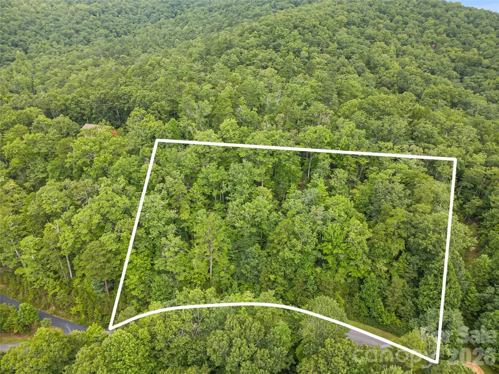 45 lobdell Road #45 Pisgah Forest, NC 28768