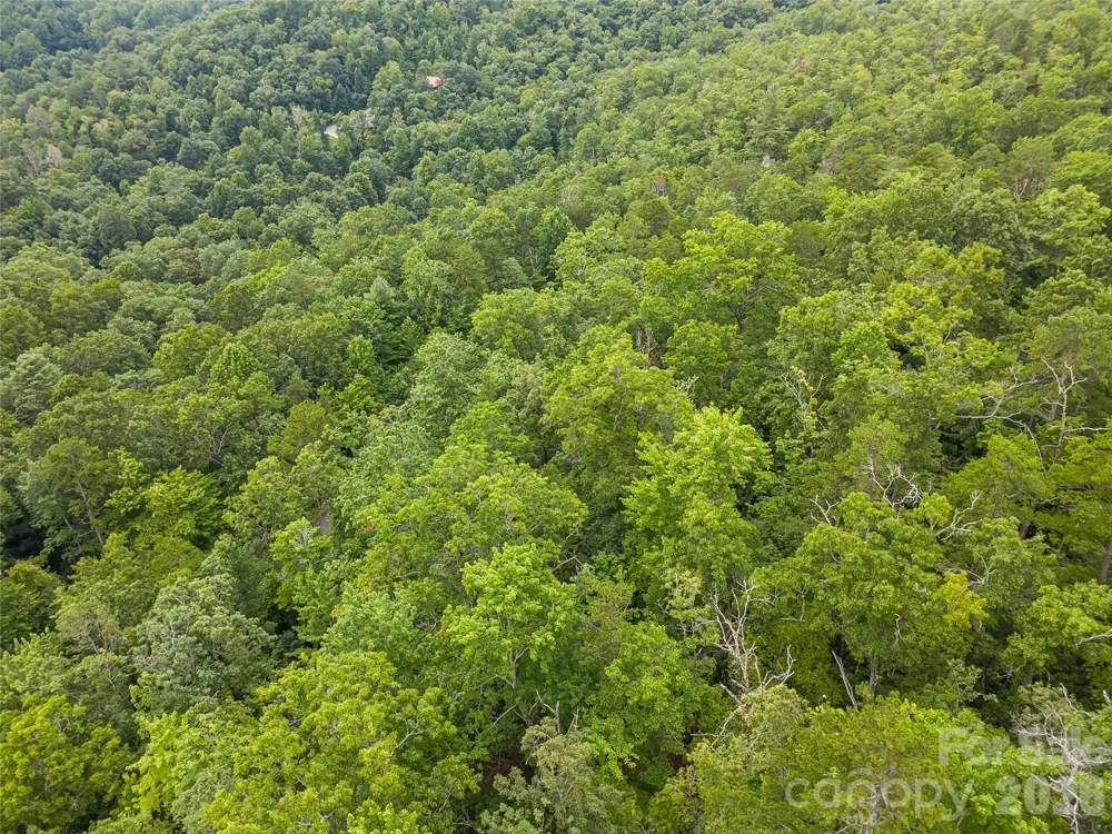 45 lobdell Road #45 Pisgah Forest, NC 28768