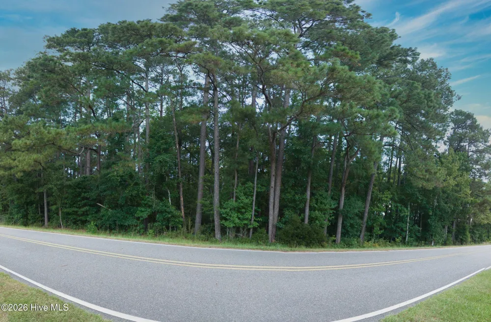 0000a Near 855 Furnie Hamm Road Clarendon, NC 28432