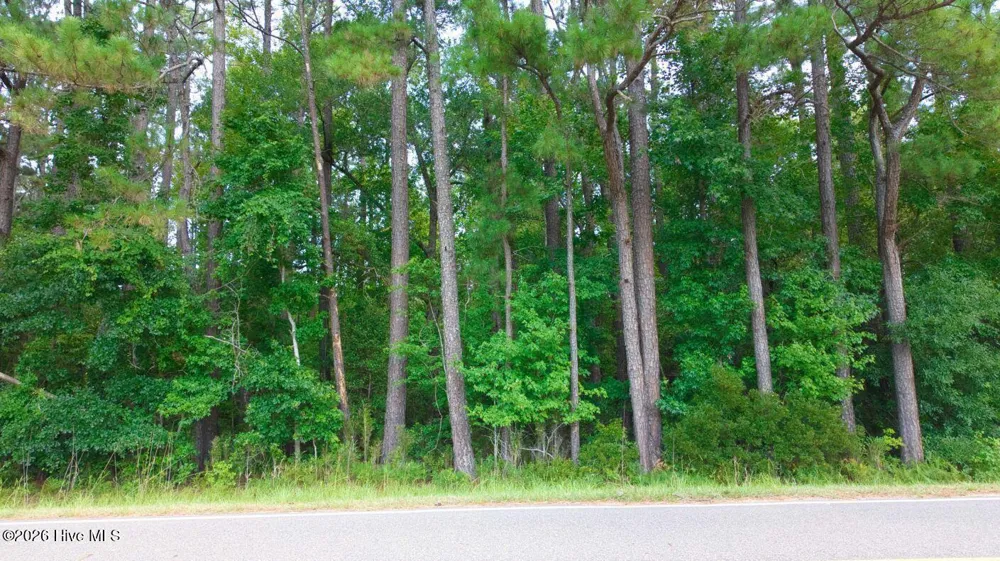 0000a Near 855 Furnie Hamm Road Clarendon, NC 28432