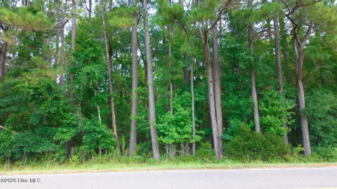 0000a Near 855 Furnie Hamm Road