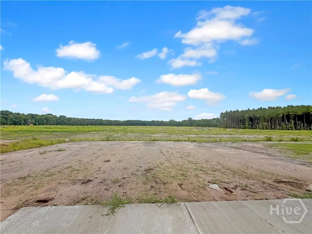 170 Pitchline Drive Hinesville, GA 31313