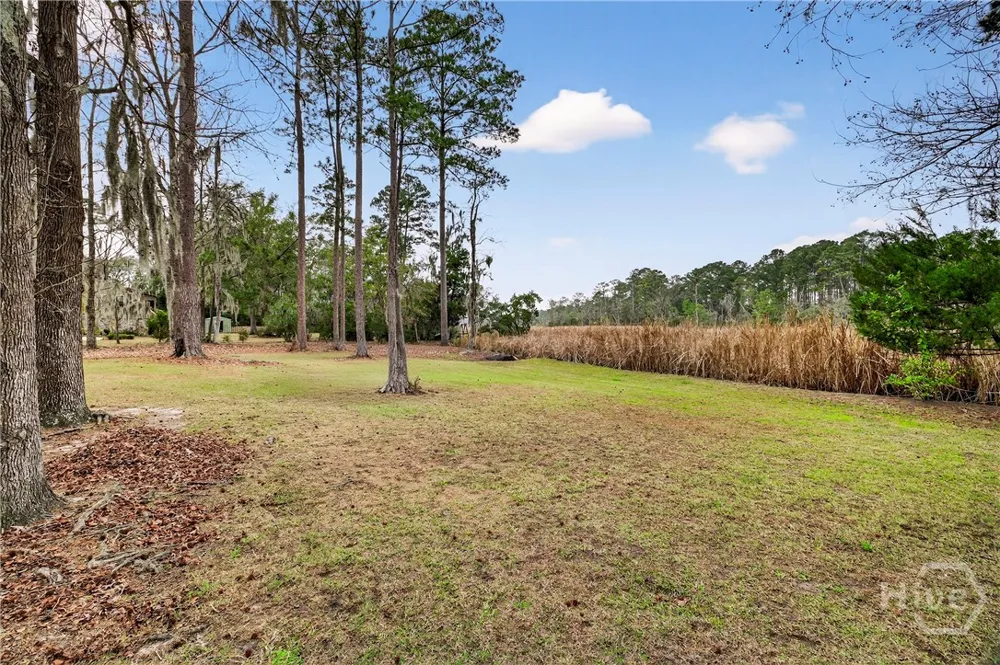 314 Mill Run Road Richmond Hill, GA 31324