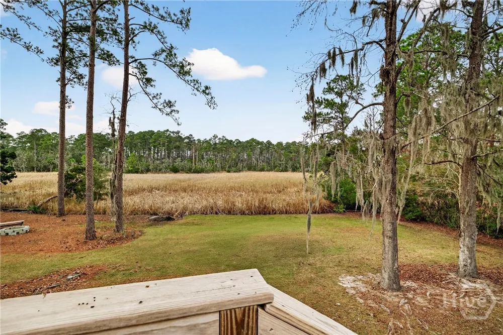 314 Mill Run Road Richmond Hill, GA 31324