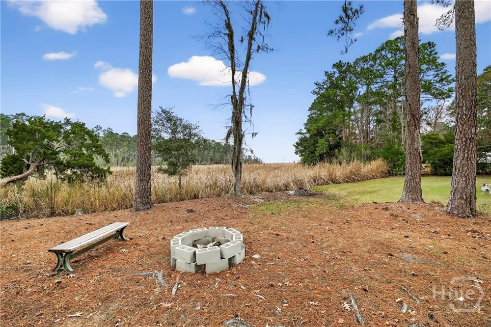 314 Mill Run Road Richmond Hill, GA 31324