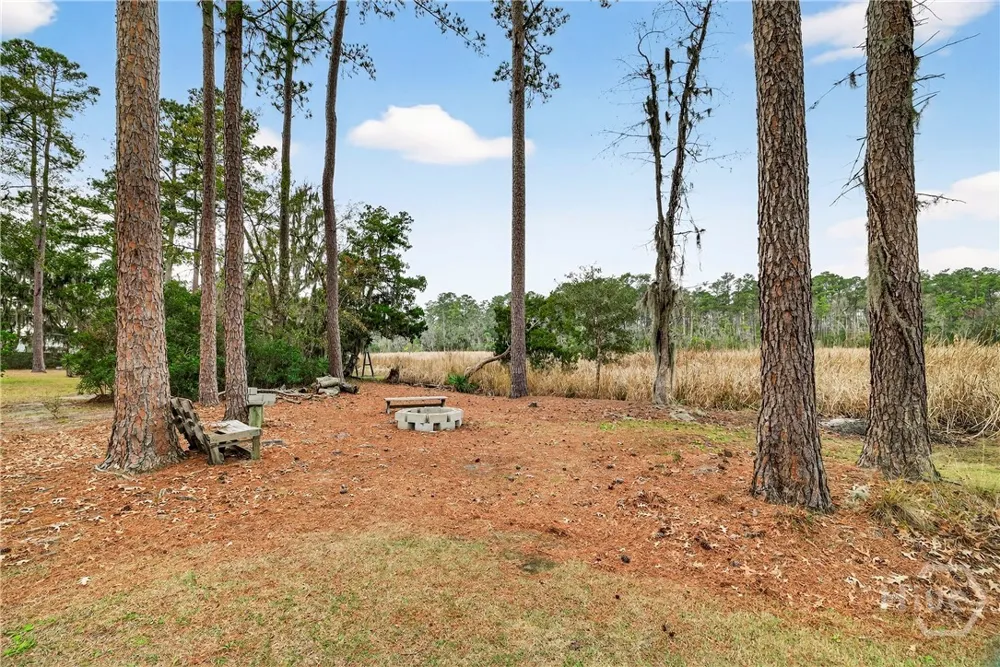 314 Mill Run Road Richmond Hill, GA 31324