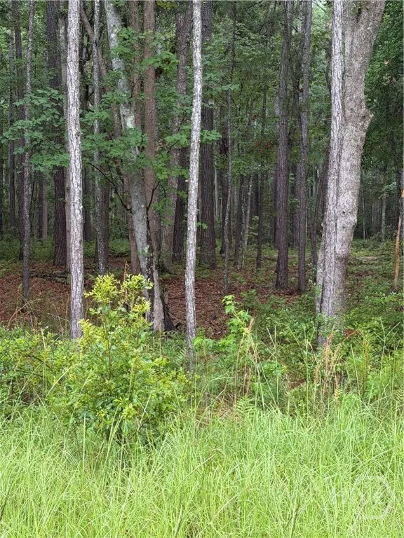 157 Wood Haven Lane Pooler, GA 31322