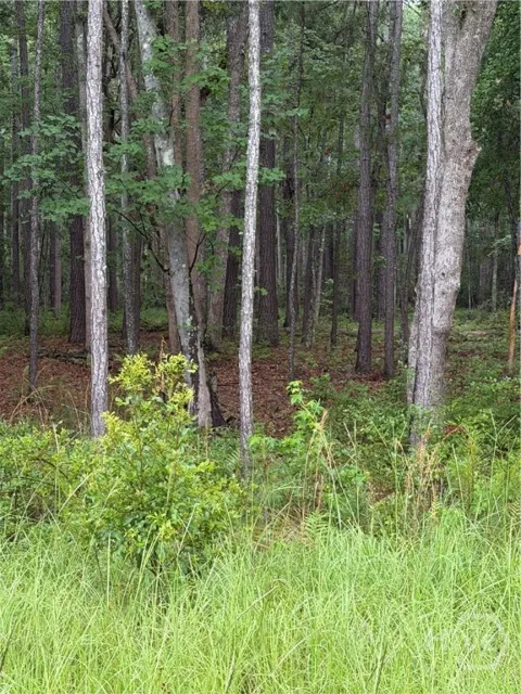 157 Wood Haven Lane