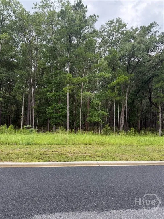 157 Wood Haven Lane Pooler, GA 31322