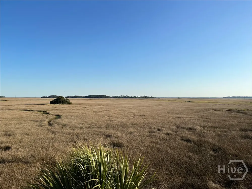 363 Coffee Bluff Villa Road Savannah, GA 31419