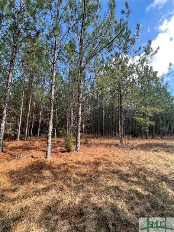 FISH ROAD Newington, GA 30446
