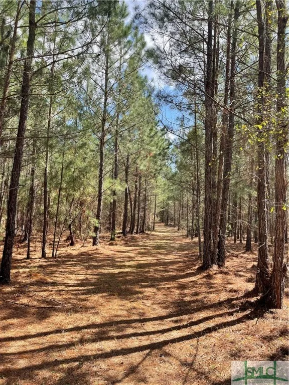 FISH ROAD Newington, GA 30446