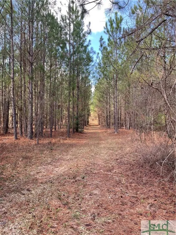 FISH ROAD Newington, GA 30446