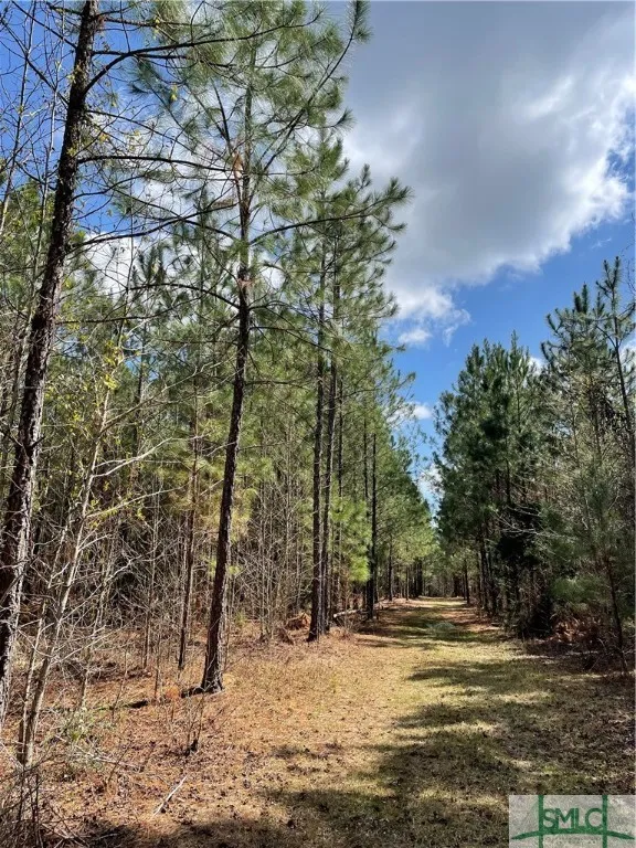 FISH ROAD Newington, GA 30446