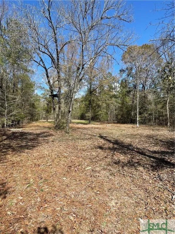 FISH ROAD Newington, GA 30446