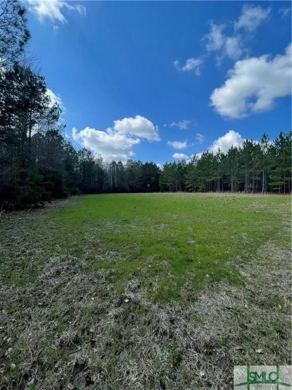 FISH ROAD Newington, GA 30446