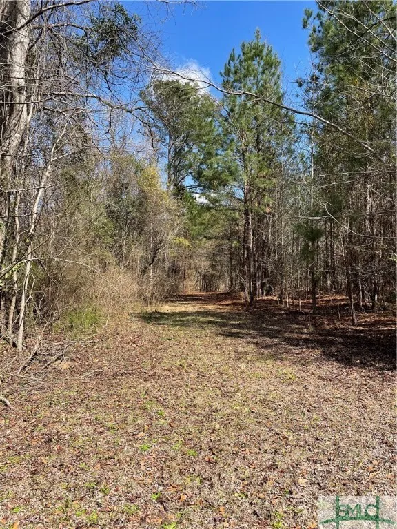 FISH ROAD Newington, GA 30446