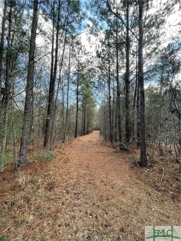 FISH ROAD Newington, GA 30446
