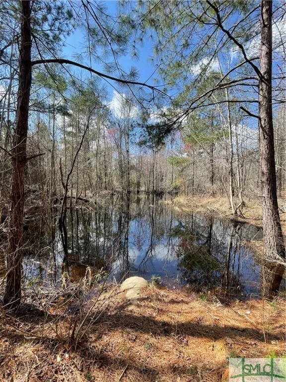 FISH ROAD Newington, GA 30446