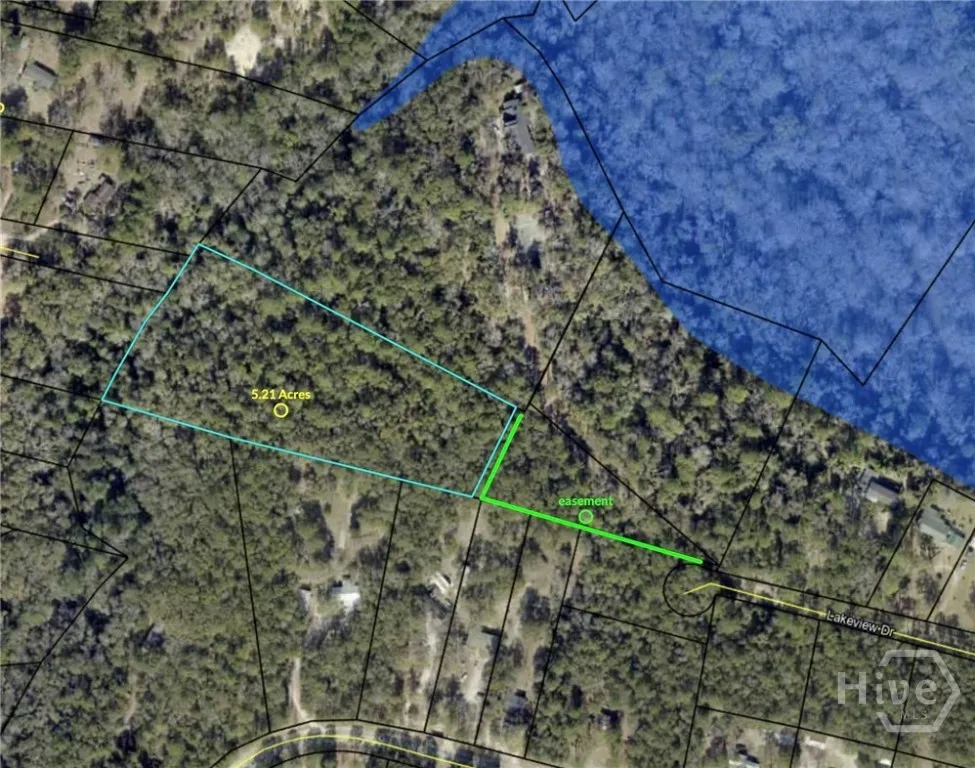 Lakeview Drive Jesup, GA 31546