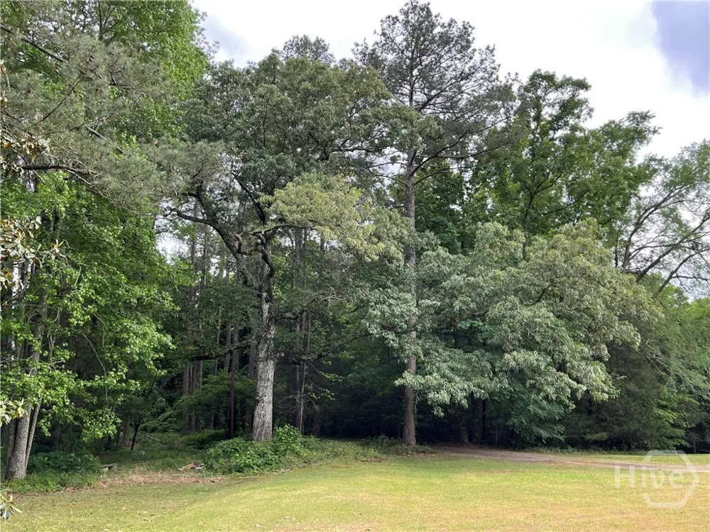 837 Bartram Trace Rayle, GA 