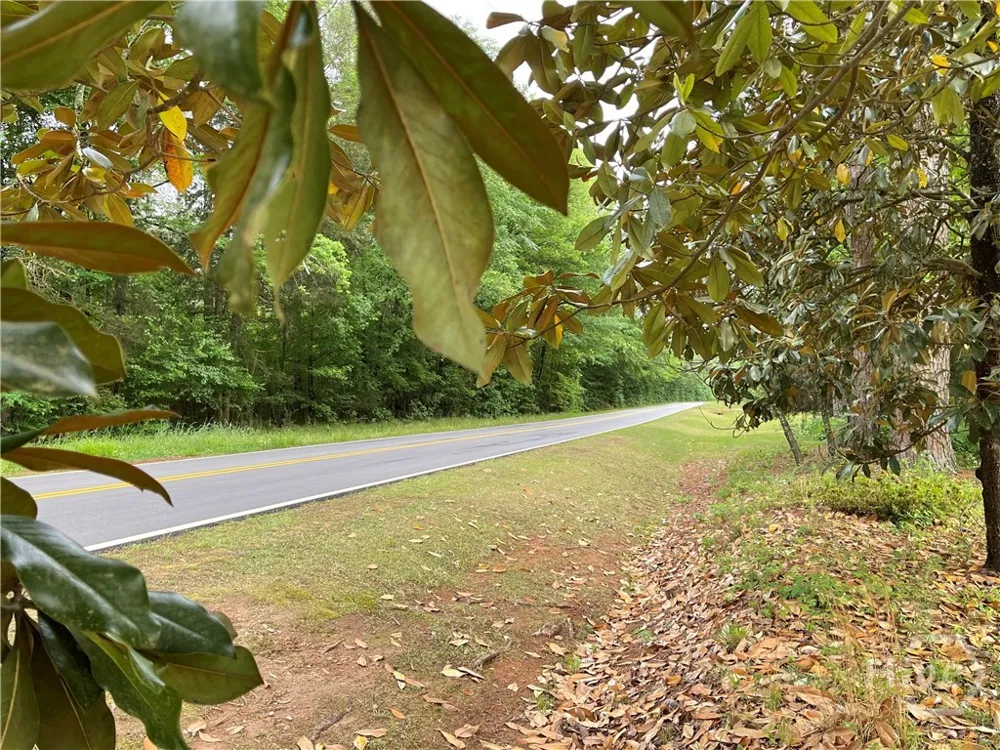 837 Bartram Trace Rayle, GA 