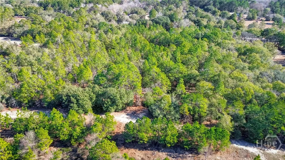 Holly Drive Eden, GA 31307