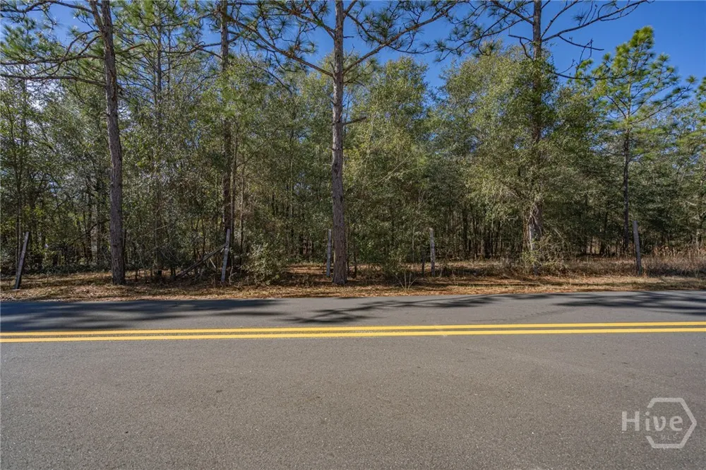 Holly Drive Eden, GA 31307