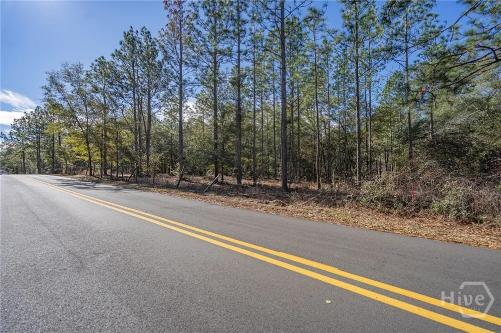 Holly Drive Eden, GA 31307