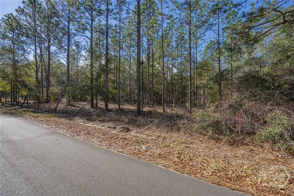 Holly Drive Eden, GA 31307