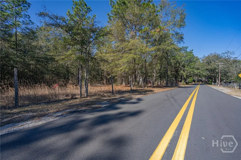 Holly Drive Eden, GA 31307