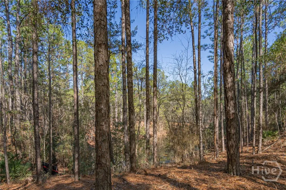 Holly Drive Eden, GA 31307