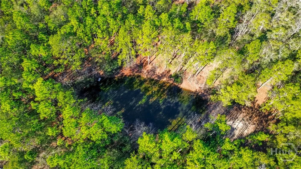 Holly Drive Eden, GA 31307
