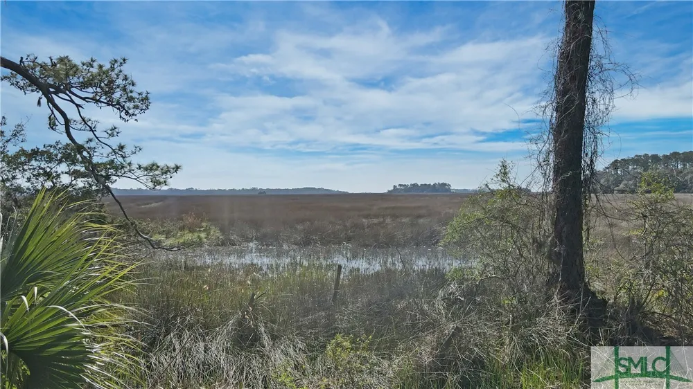 14009 GA 99 Highway Darien, GA 31305