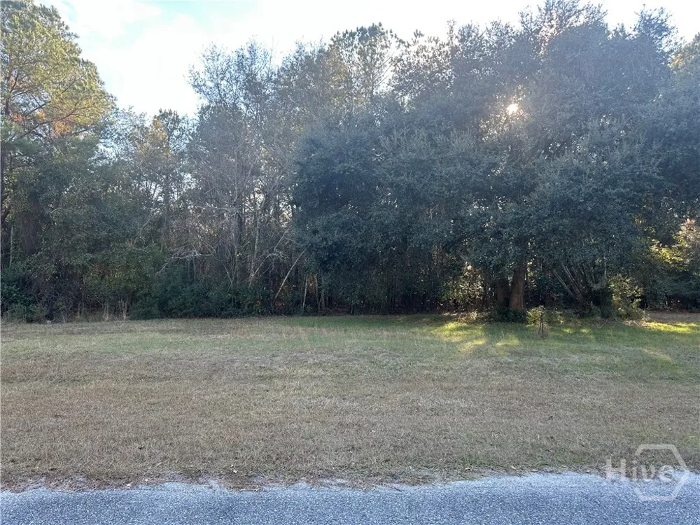 Dean Drive Guyton, GA 31312
