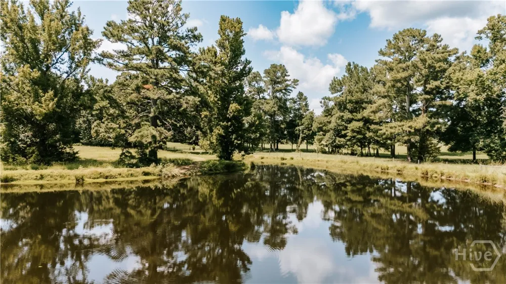 6 Burt Road Carlton, GA 30627