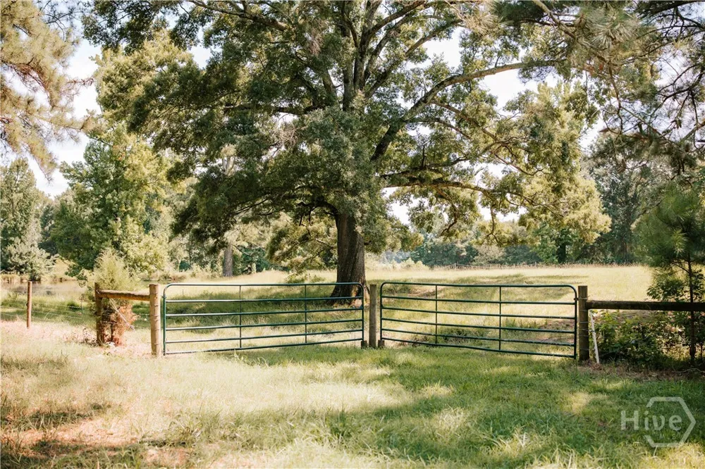 6 Burt Road Carlton, GA 30627