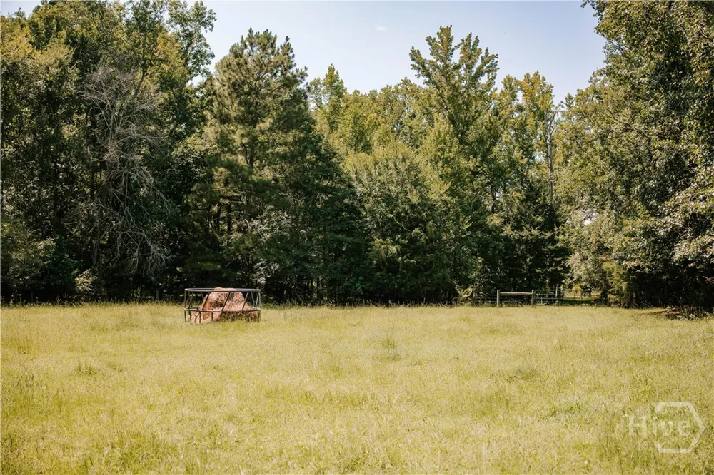 6 Burt Road Carlton, GA 30627