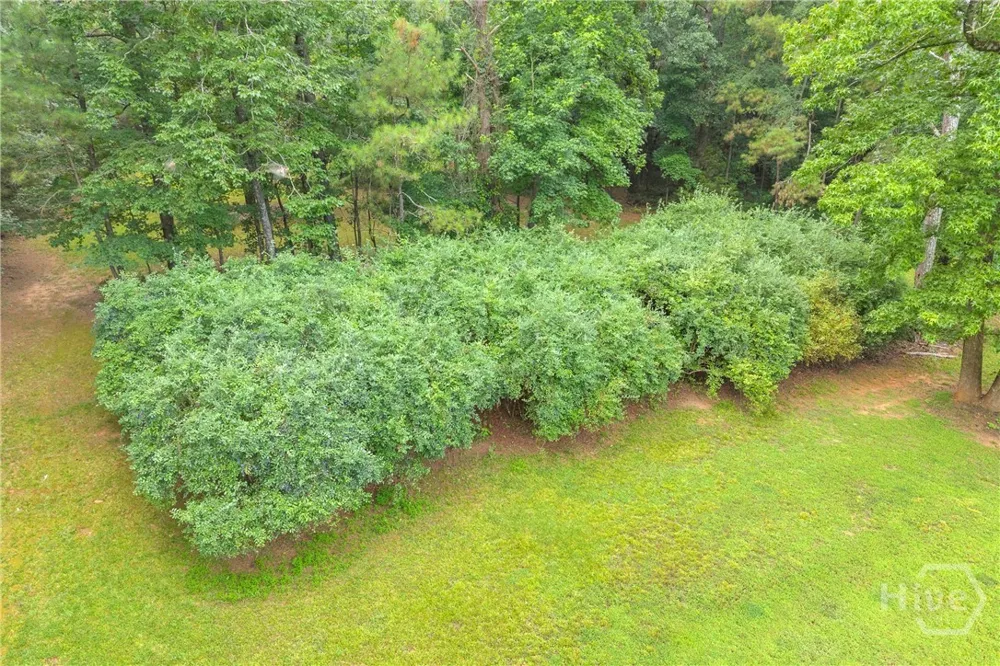 81 Paul Lane Crawford, GA 30630